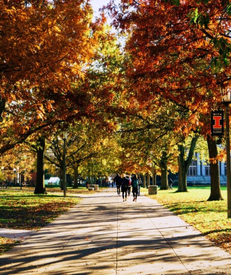 Scenic view of a park near the University of Illinois at Urbana-Champaign